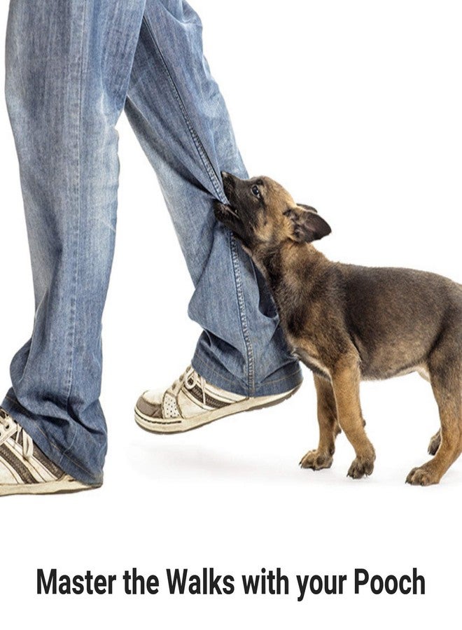 Pet Believe حبل مقود للكلاب من بيت بيليف، لون عنابي، خطاف نحاسي - 22 مم - عنابي - Image 4